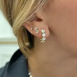 Benjamin Dollar Sign Cash Stud Earrings